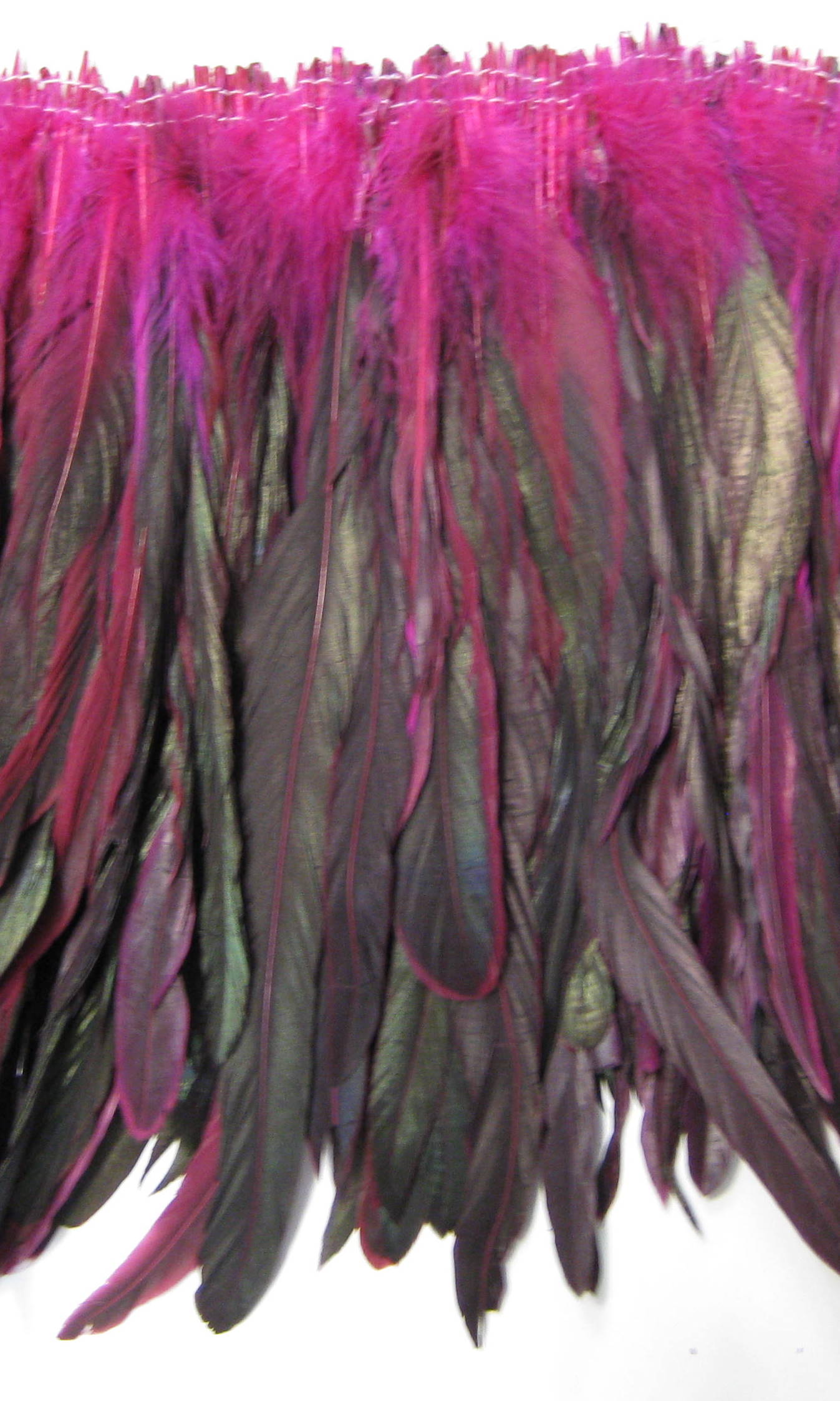 COQUE FEATHERS